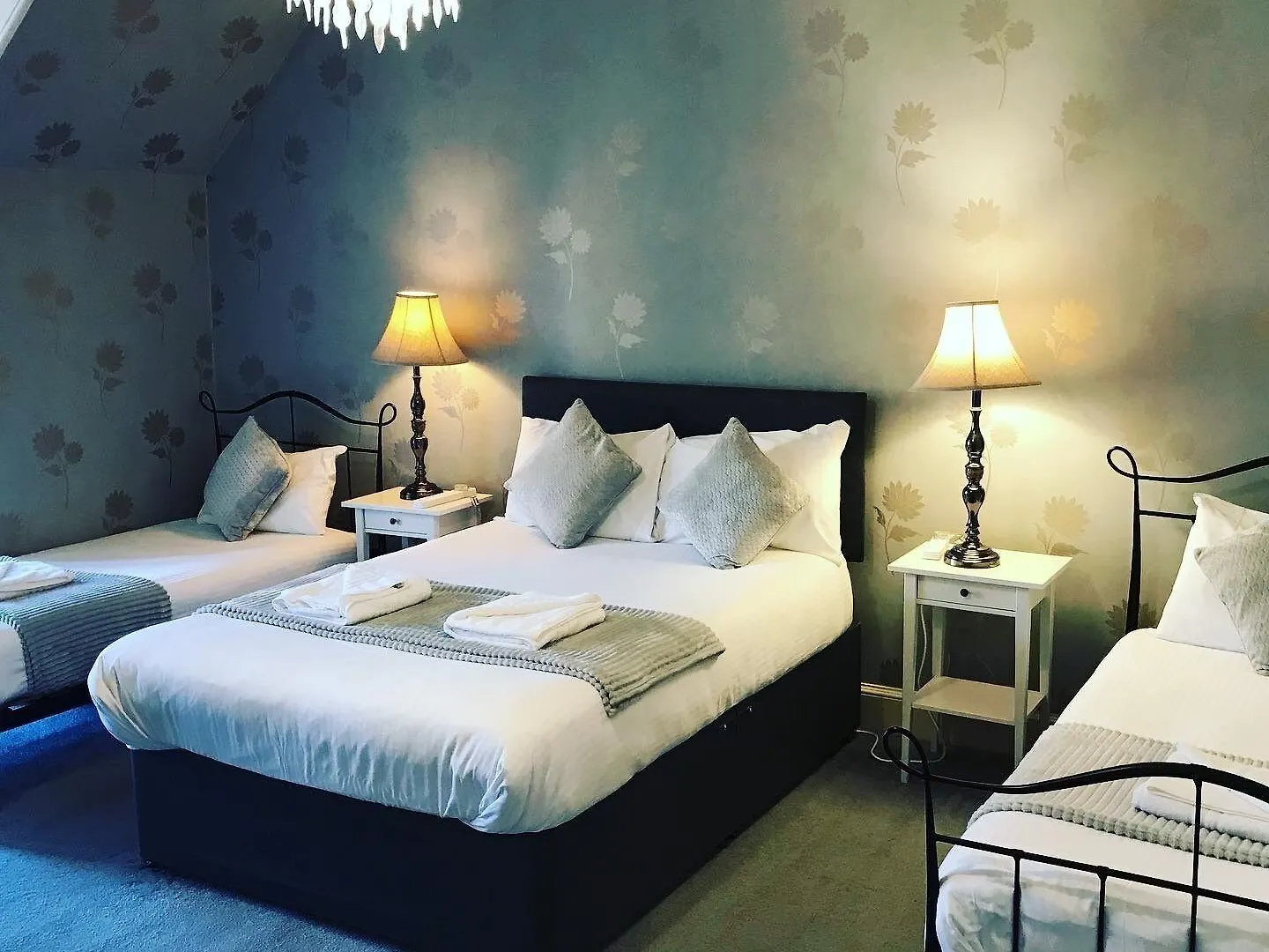 Ardenlee Guest House Edimburgo 3*,